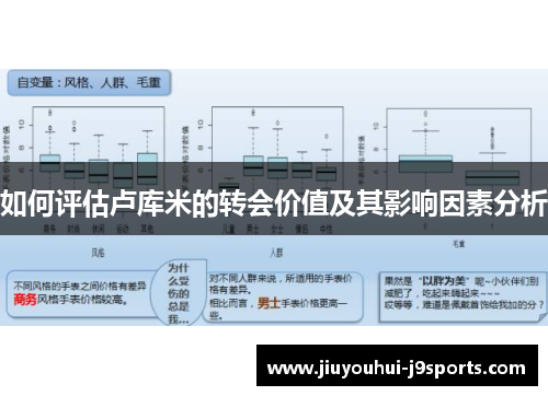 如何评估卢库米的转会价值及其影响因素分析